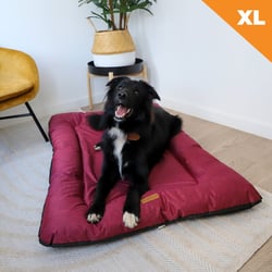 Catélia Matelas confortables