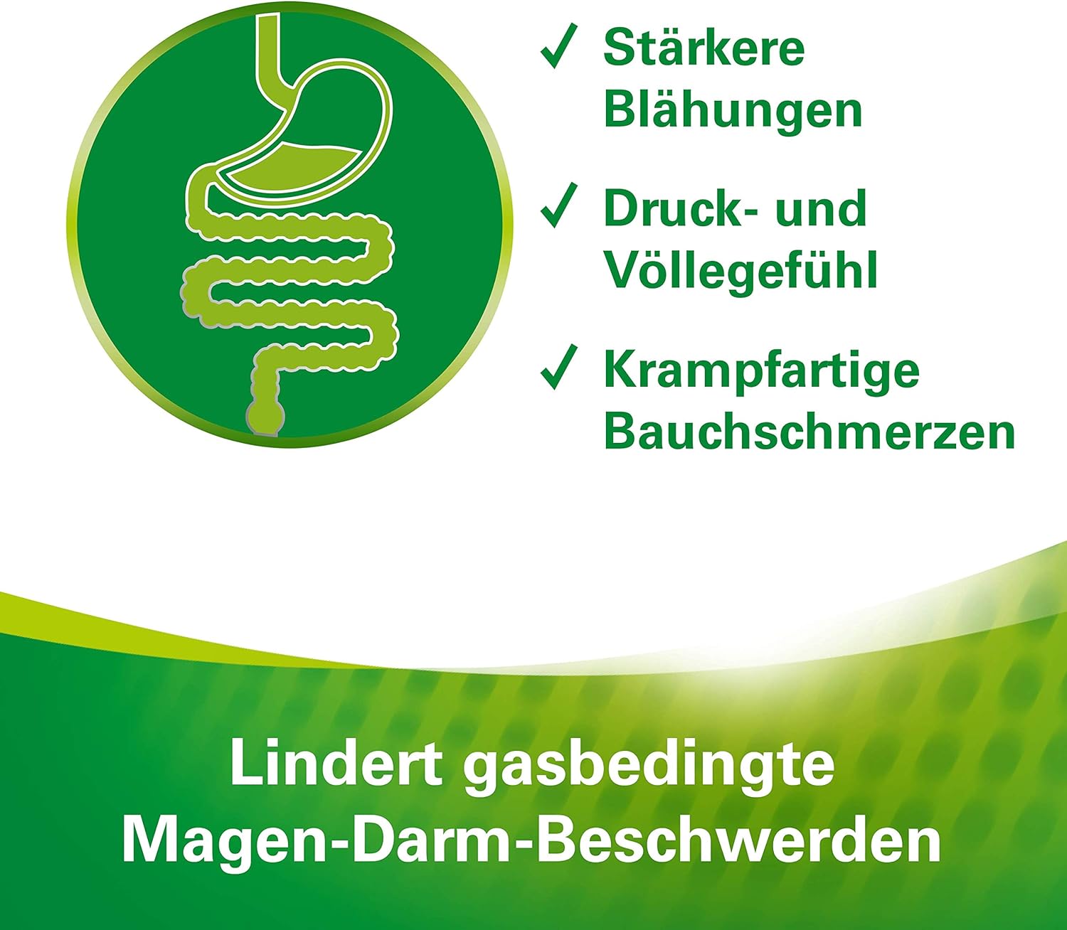 Darm Parasiten Kur 60 Kapseln