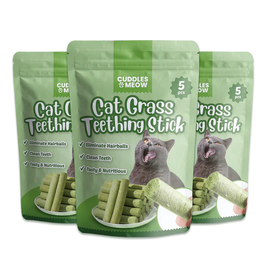 Sticks Dentaires Premium pour Chat